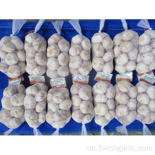 Frischer Knoblauch New Crop 2019